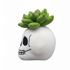 Plush skull toy with green succulent on a white background