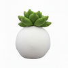 White spherical pillow with green succulent-like top on a white background