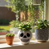 Skull-shaped pot with succulents on a windowsill with other potted plants.