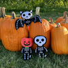 plush skeleton bat, plush skeleton  and plush pumpkinhead skeleton in a pumpkin patch