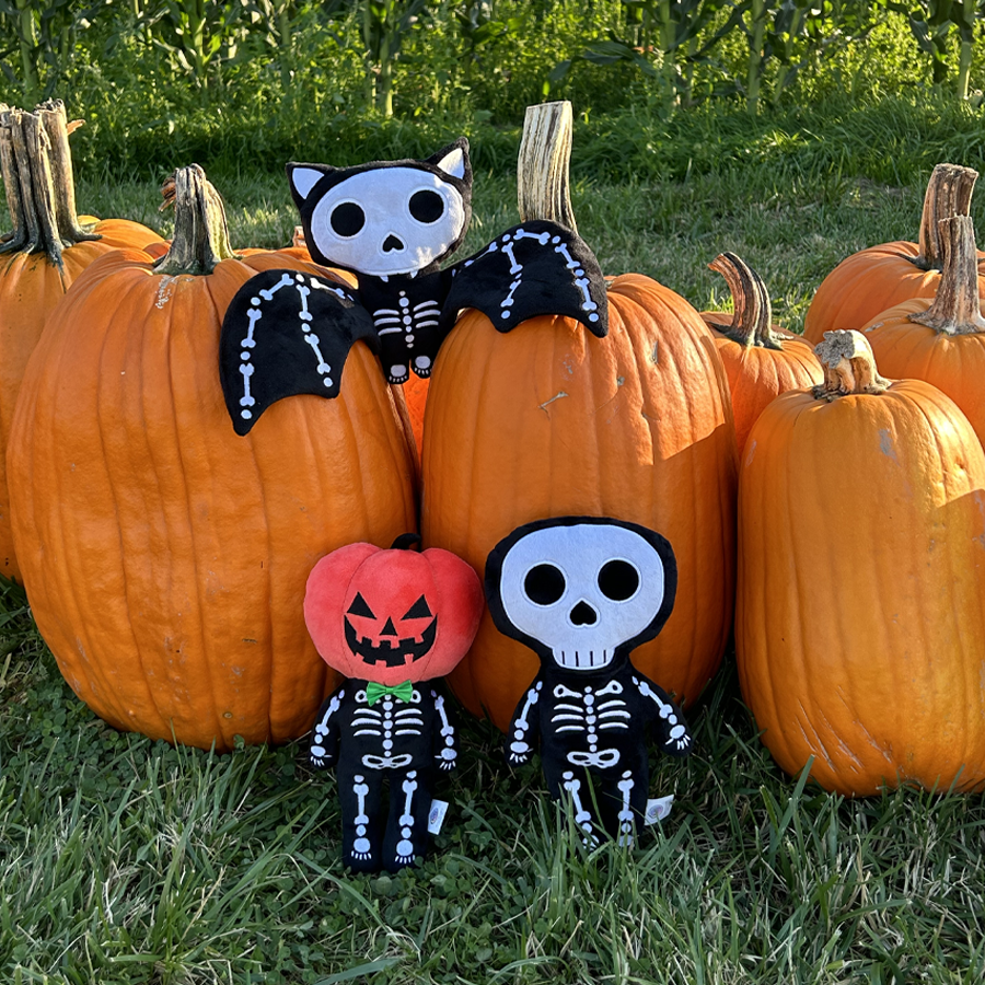 plush skeleton bat, plush skeleton  and plush pumpkinhead skeleton in a pumpkin patch
